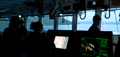 Whale researchers